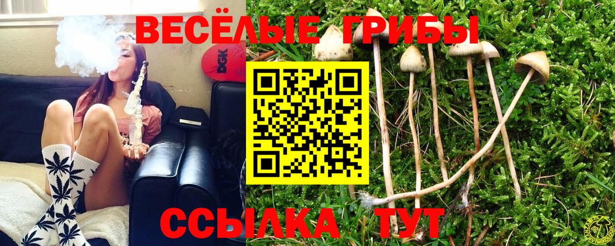 Галлюциногенные грибы Magic Shrooms Россия